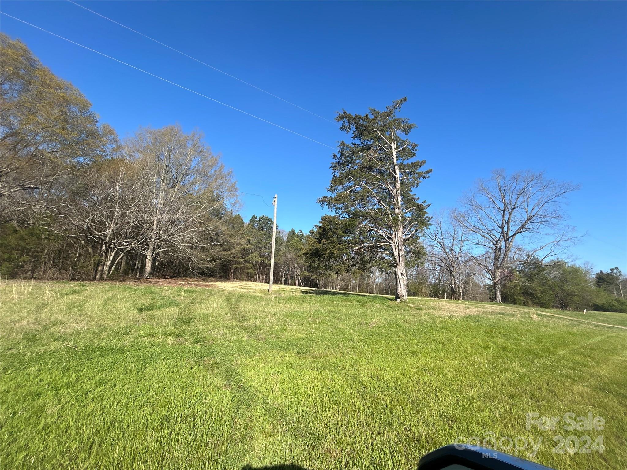 7.78-ac Mt Prospect Road Chester, SC 29706 - Photo 3 of 19 a backyard of a house with lots of green space