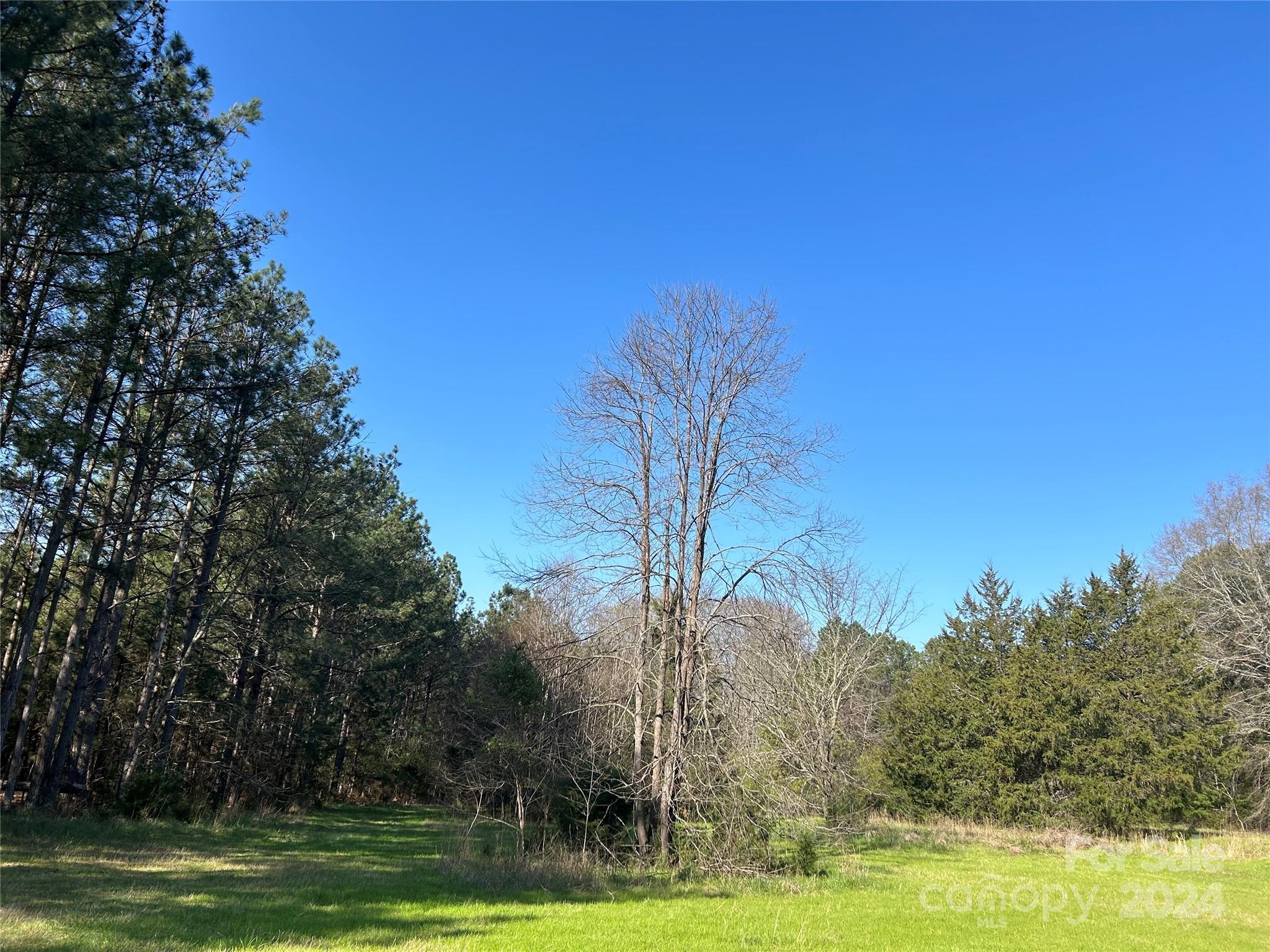 7.78-ac Mt Prospect Road Chester, SC 29706 - Photo 5 of 19 a view of a park with large trees