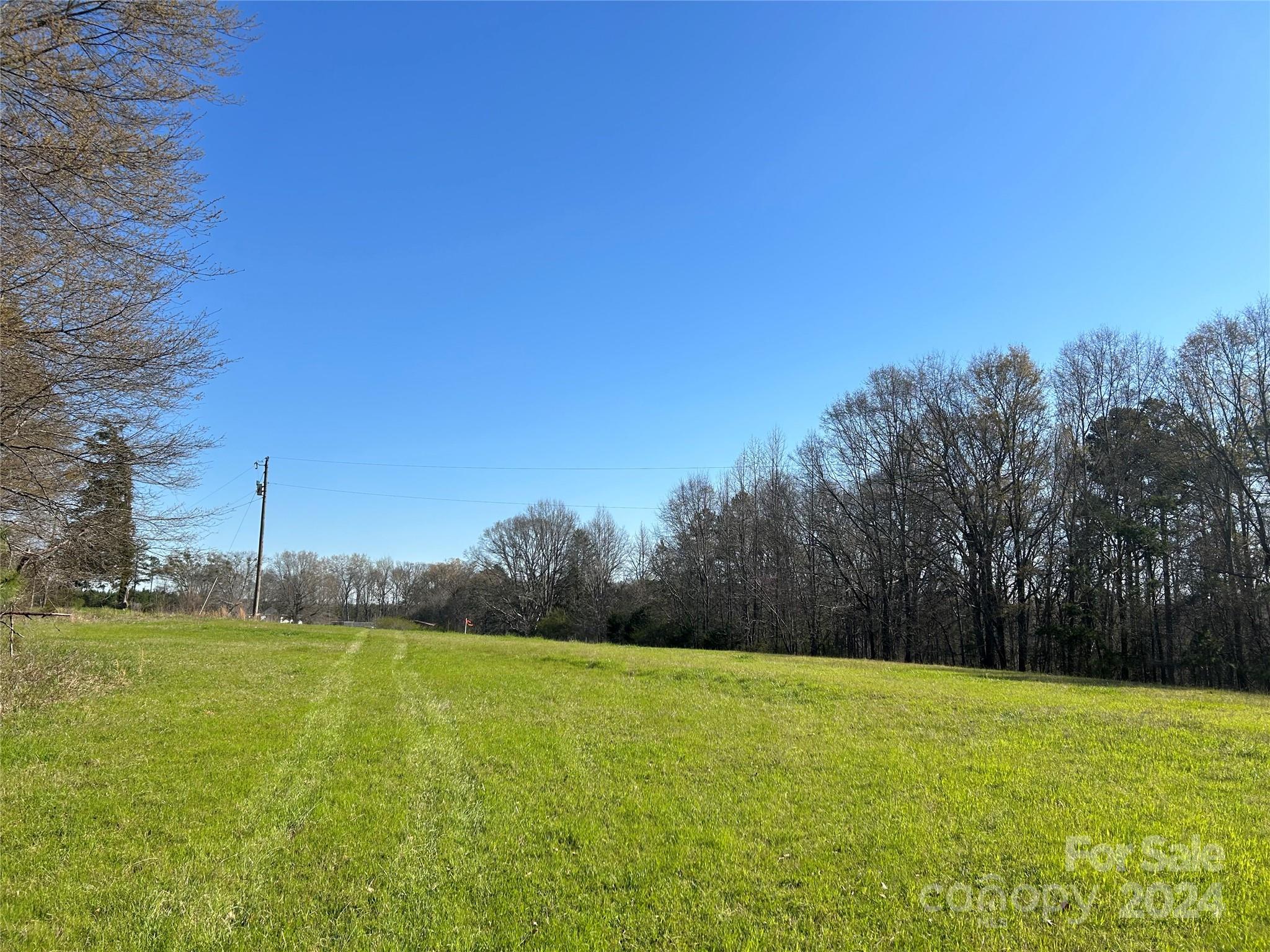 7.78-ac Mt Prospect Road Chester, SC 29706 - Photo 7 of 19 a yard with lake view