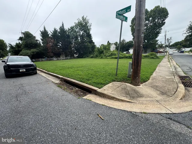 a view of a park with large trees