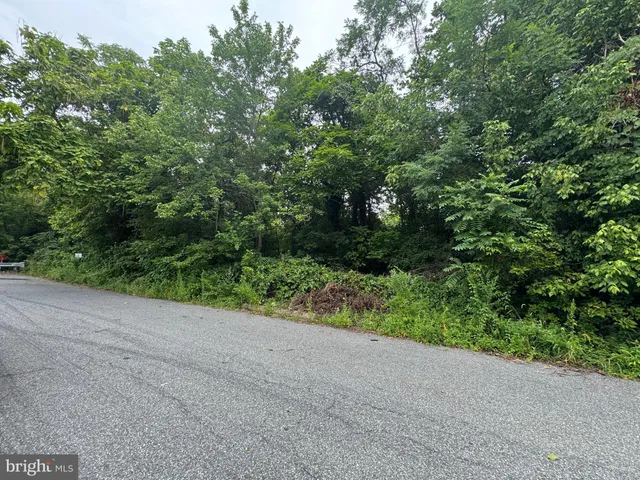 a view of a field with plants and trees