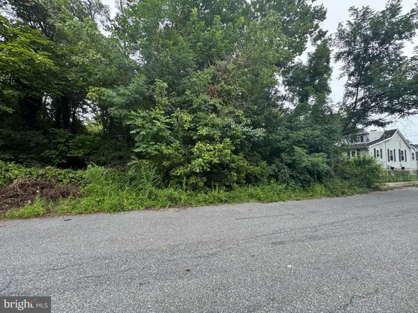 a view of a field with plants and trees