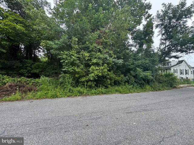 a view of a field with plants and trees