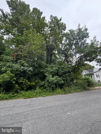 a view of a field with plants and trees