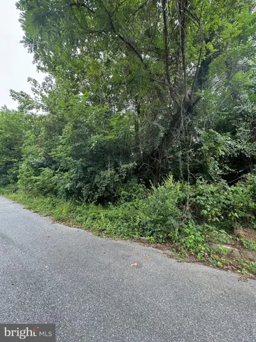 a view of a forest with a street
