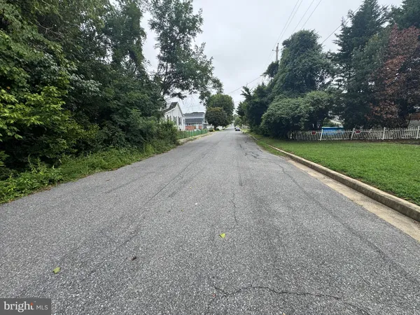 a view of a yard with potted plants and large trees