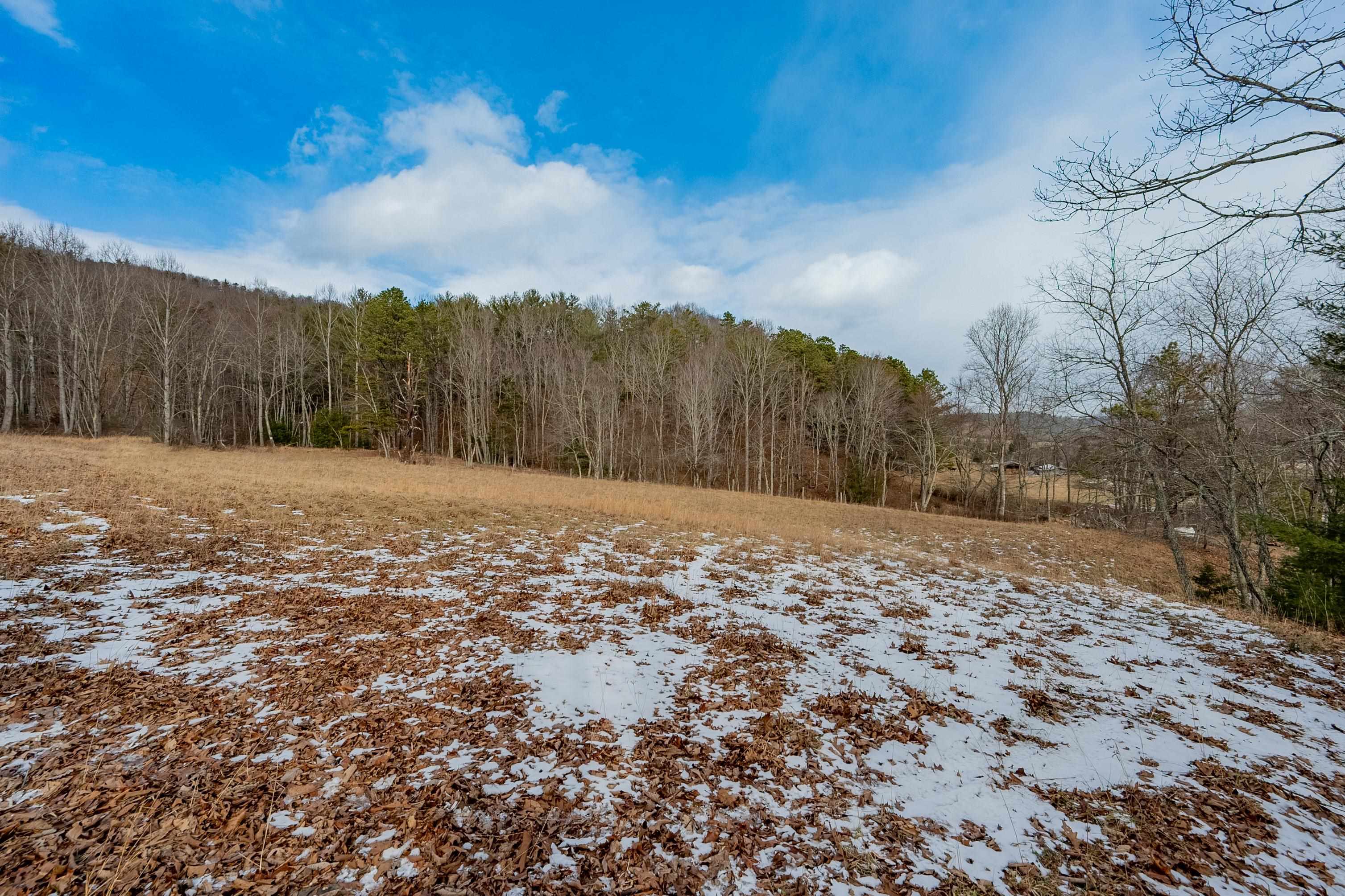Tbd Spur Branch Road Dublin, VA 24084 - Photo 8 of 84 Gallery Image 8