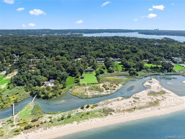 a view of a garden with a sink