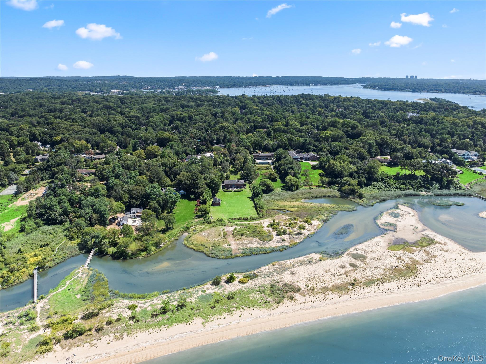 22 Messenger Lane Sands Point, NY 11050 - Photo 6 of 49 a view of a garden with a sink