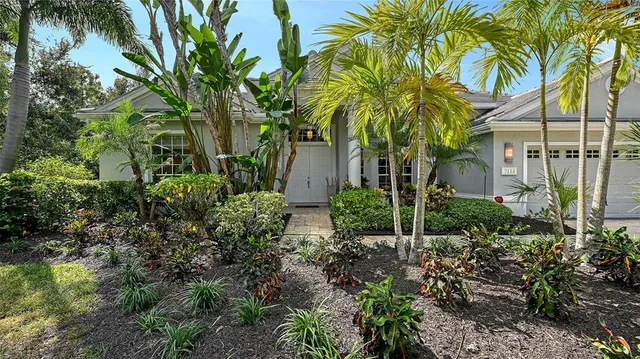 a view of a street with plants and palm trees