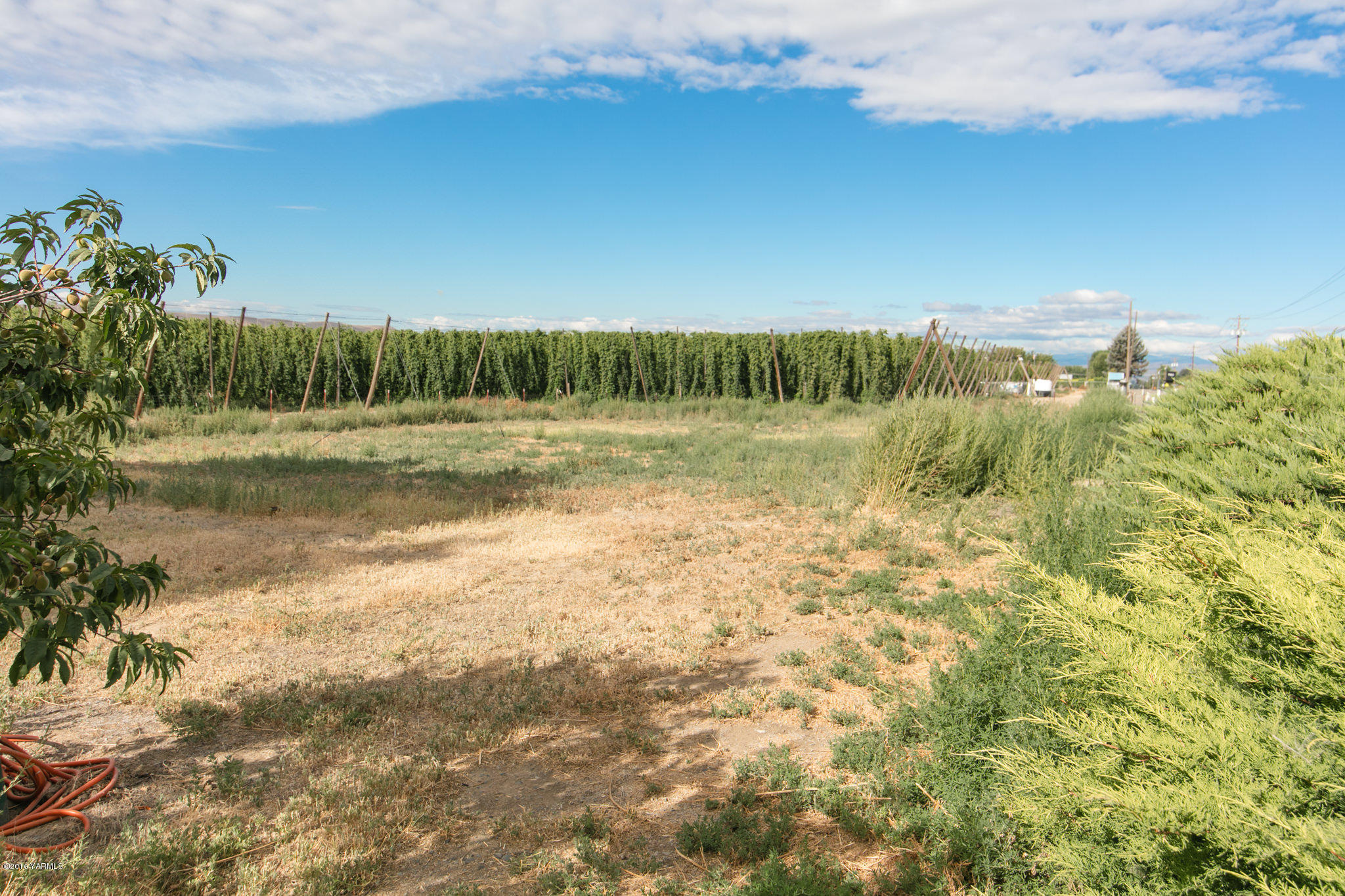 8002 Mieras Road Yakima, WA 98901 - Photo 33 of 34 MierasRd-5442