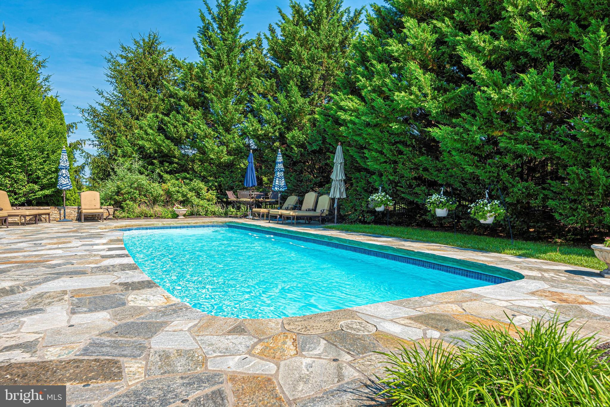 25 Woodmere Circle Middletown, MD 21769 - Photo 7 of 52 Cool off or do some laps