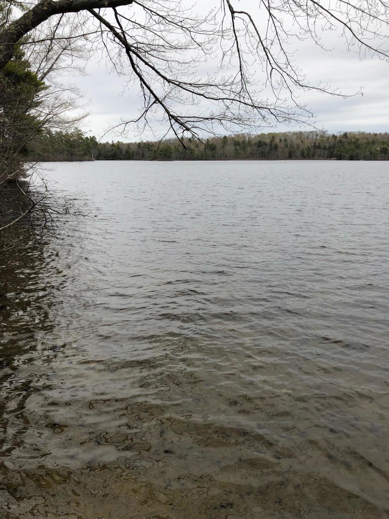 0 McCurdy Pond Road Bremen, ME 04551 - Photo 7 of 9 IMG_1377