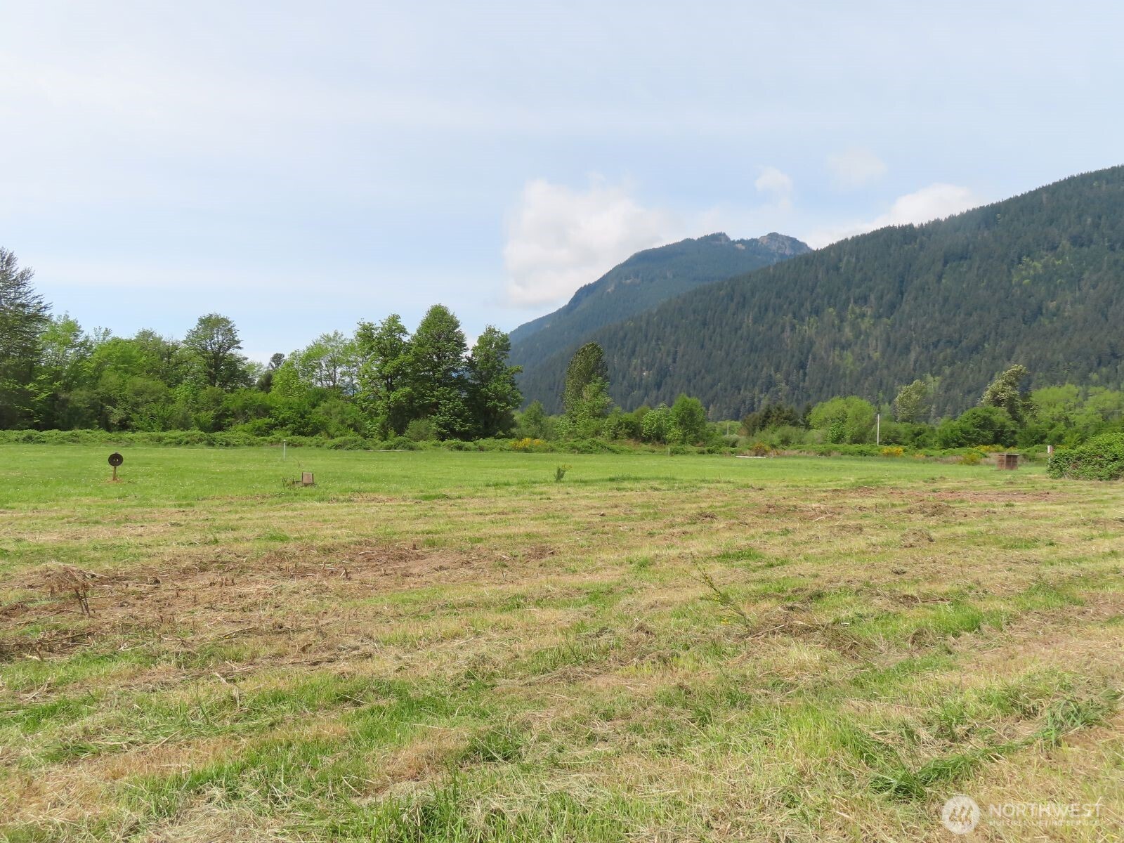 295 River Ranch Road Randle, WA 98377 - Photo 11 of 16 Gallery Image 11
