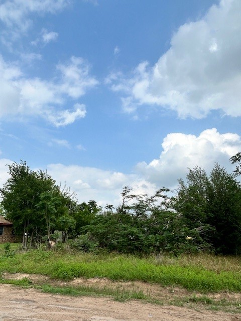 150 St Barbe Street Hempstead, TX 77445 - Photo 2 of 4 a view of a city with green space