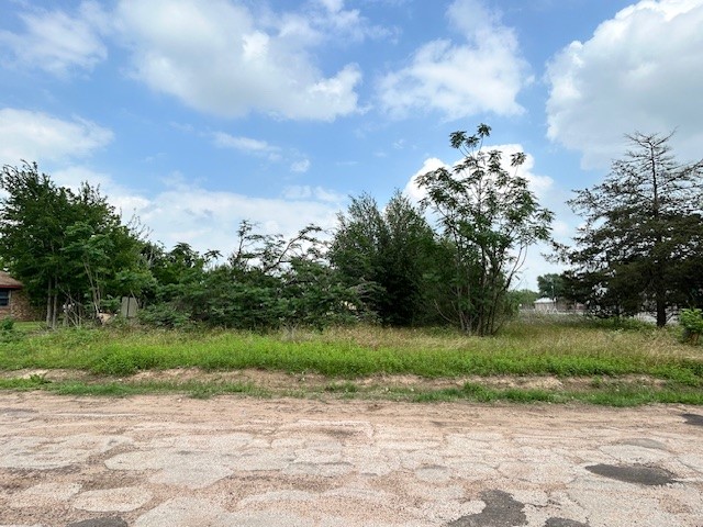 150 St Barbe Street Hempstead, TX 77445 - Photo 4 of 4 a view of a road with a yard