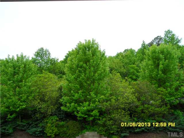 3623 Wellington Ridge Loop Cary, NC 27518 - Photo 5 of 18 Photo 5