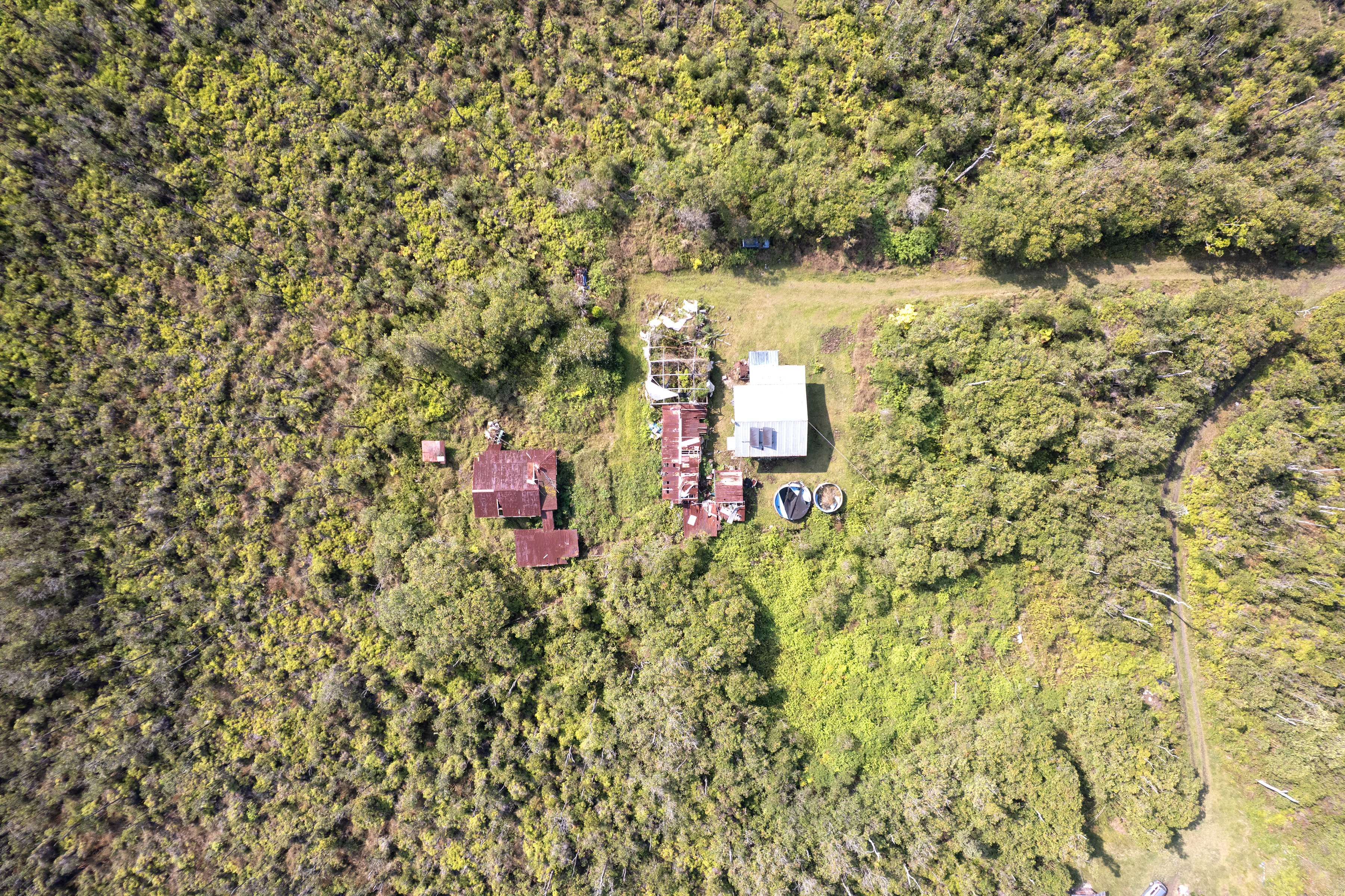 11-2217 Kaleponi Road Mountain View, HI 96771 - Photo 3 of 13 a aerial view of a house with a yard and large trees