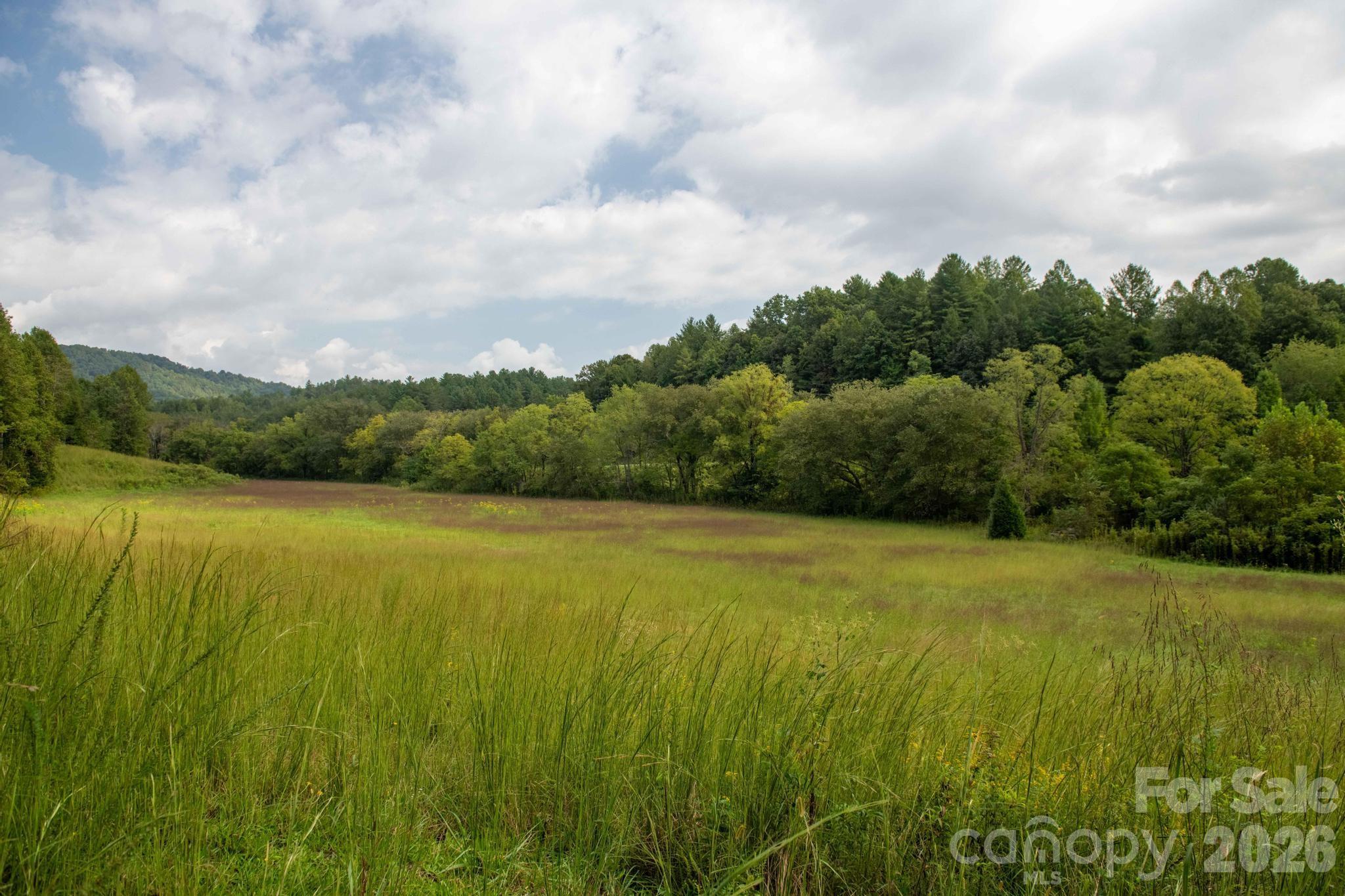 3305 Zacks Fork Road Lenoir, NC 28645 - Photo 4 of 48 Gallery Image 4