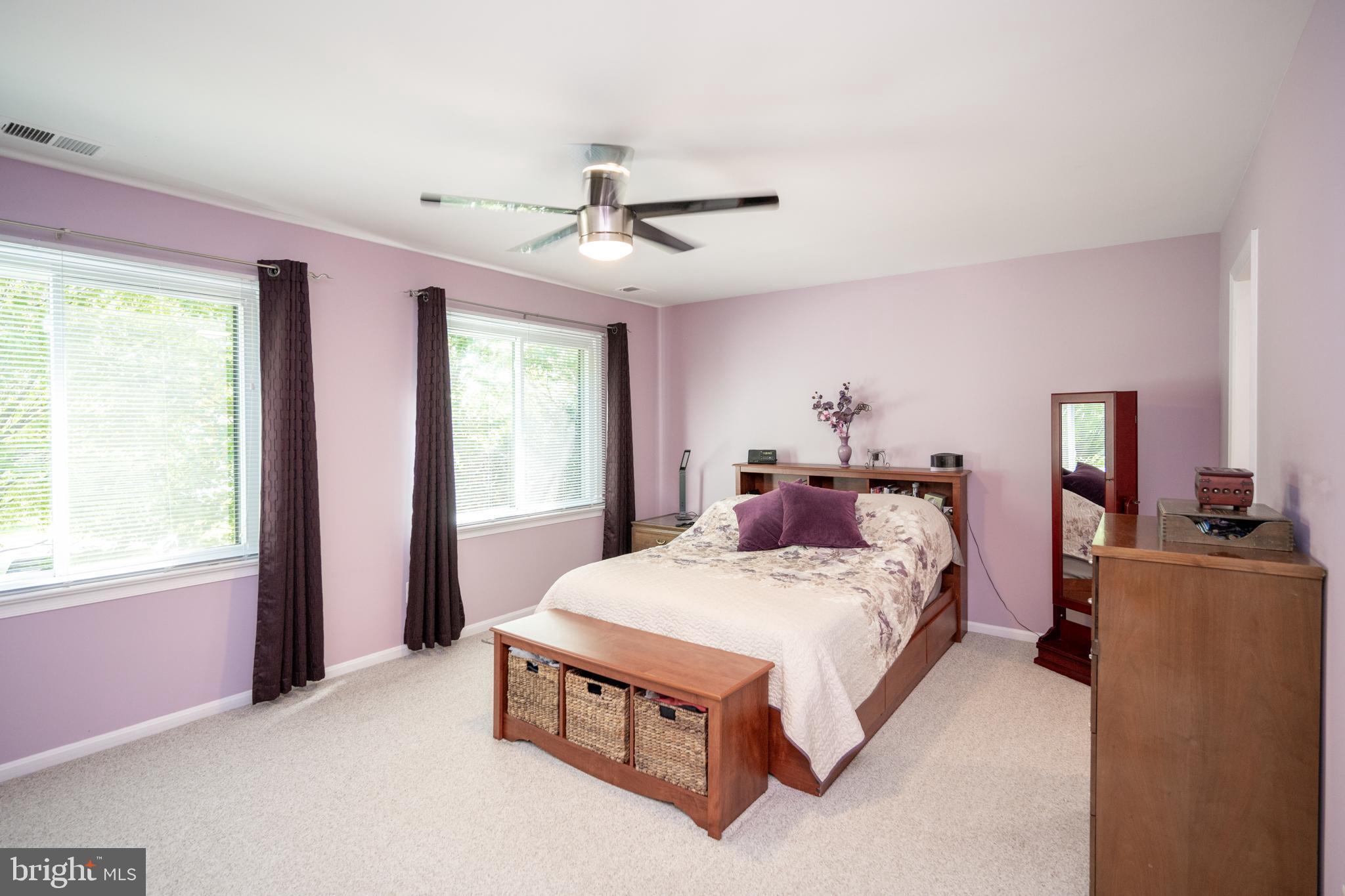 12421 Wendell Holmes Road Oak Hill, VA 20171 - Photo 38 of 56 Main bedroom with two windows