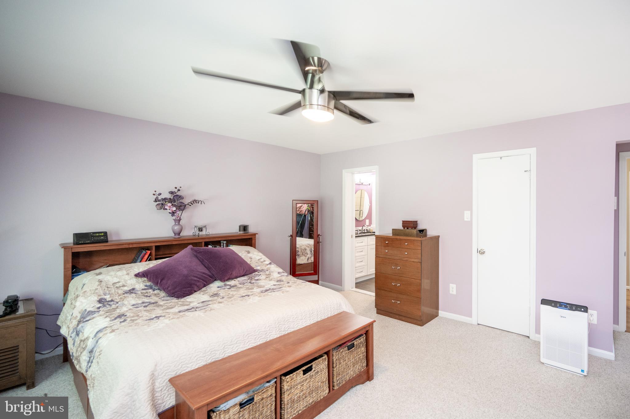 12421 Wendell Holmes Road Oak Hill, VA 20171 - Photo 39 of 56 Main bedroom view to private bath