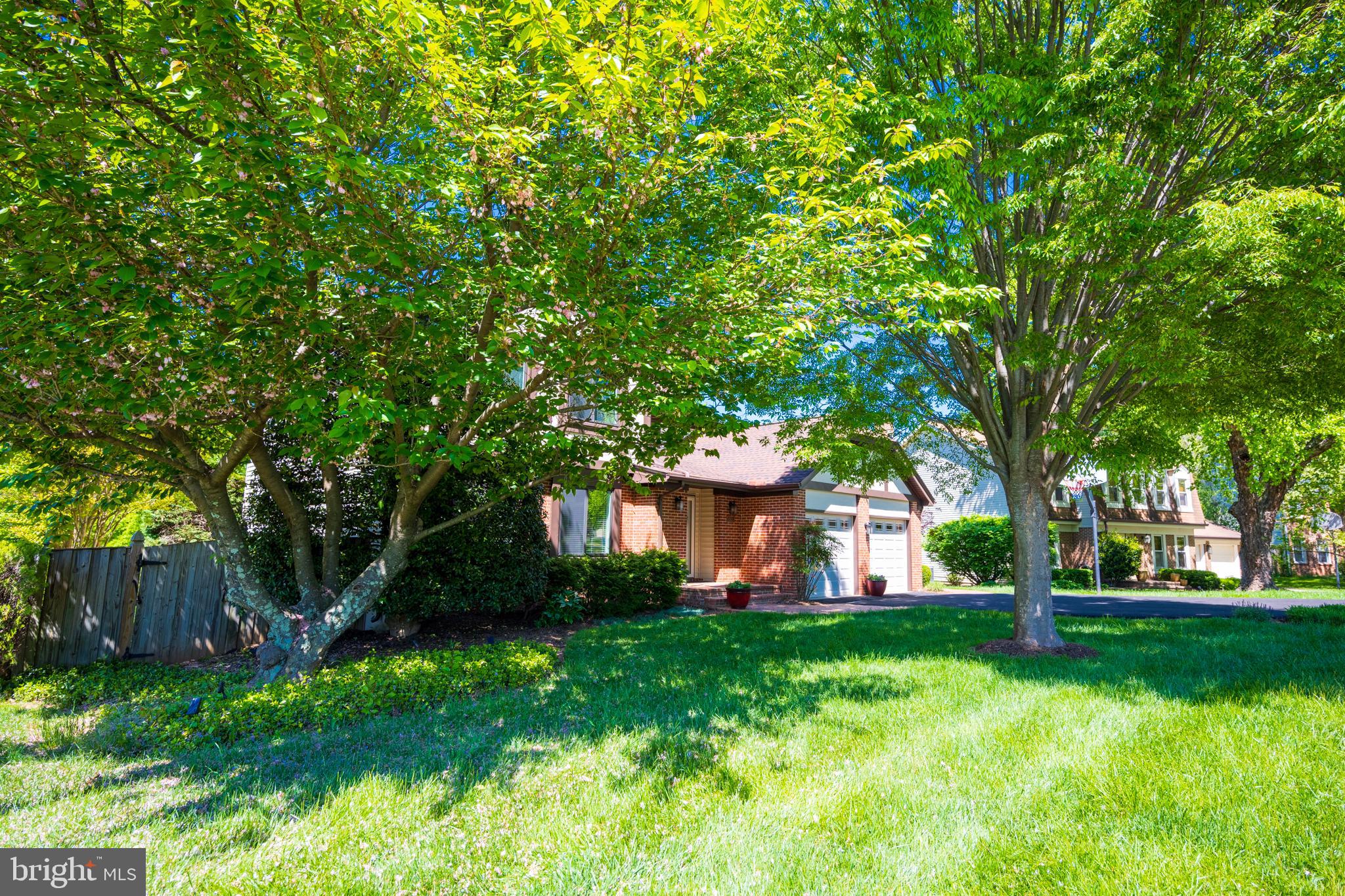 12421 Wendell Holmes Road Oak Hill, VA 20171 - Photo 4 of 56 Left side view from street