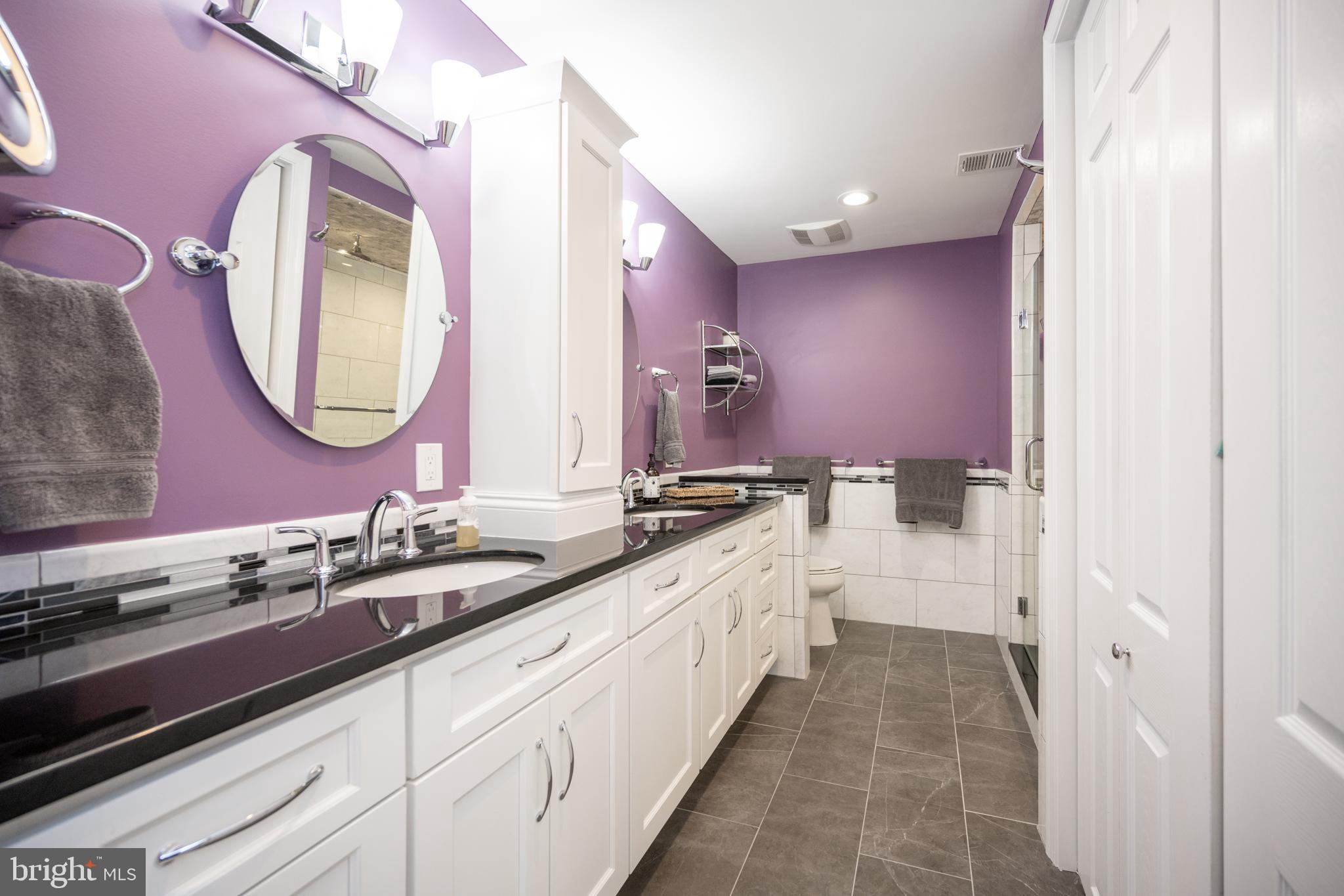 12421 Wendell Holmes Road Oak Hill, VA 20171 - Photo 41 of 56 Main bedroom renovated private bath
