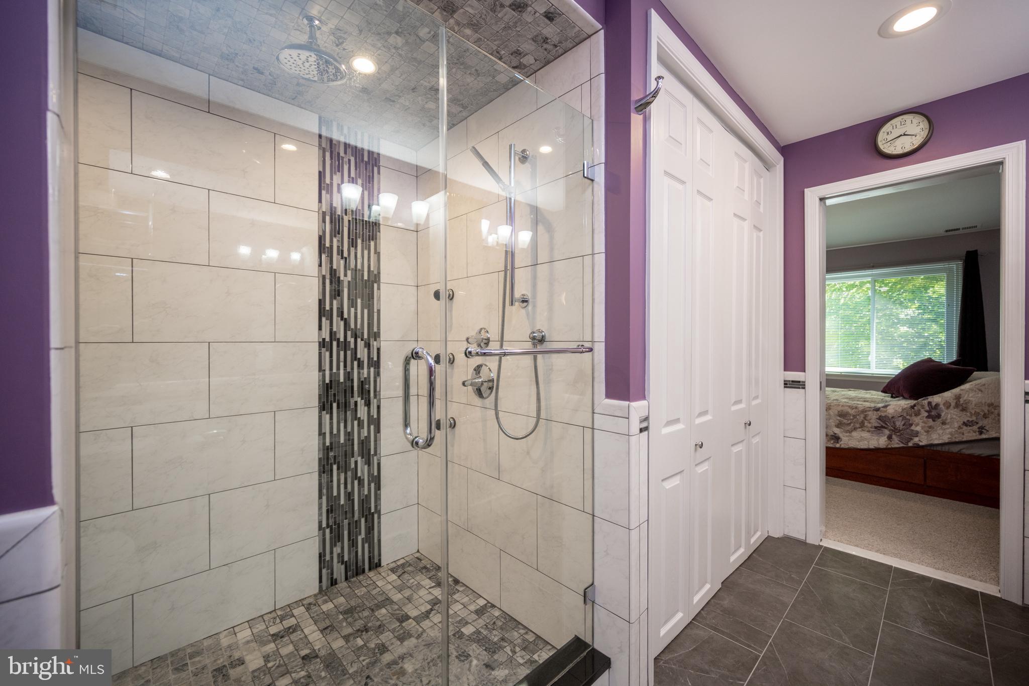 12421 Wendell Holmes Road Oak Hill, VA 20171 - Photo 42 of 56 Main bedroom private
bath shower stall