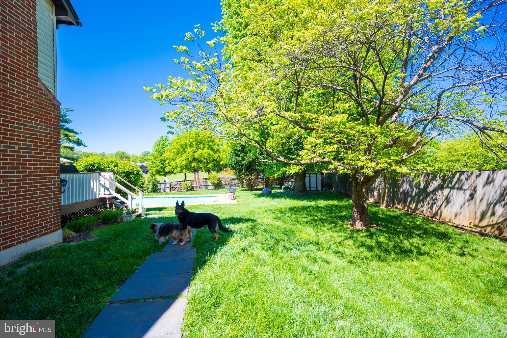 12421 Wendell Holmes Road Oak Hill, VA 20171 - Photo 5 of 56 Rear side yard view