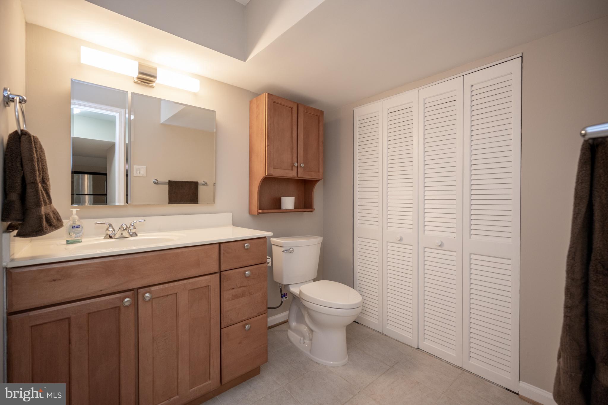 12421 Wendell Holmes Road Oak Hill, VA 20171 - Photo 52 of 56 Lower level full bath