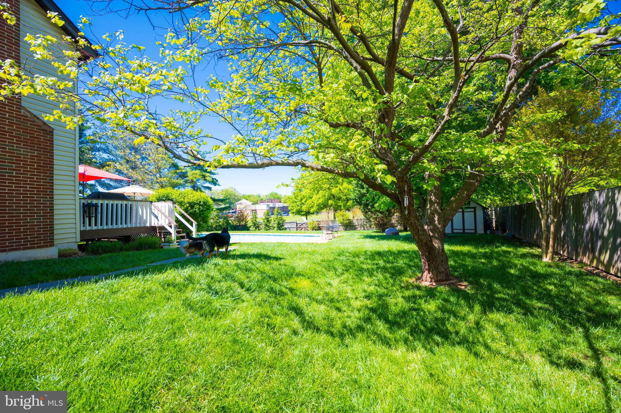 12421 Wendell Holmes Road Oak Hill, VA 20171 - Photo 6 of 56 Rear side yard view