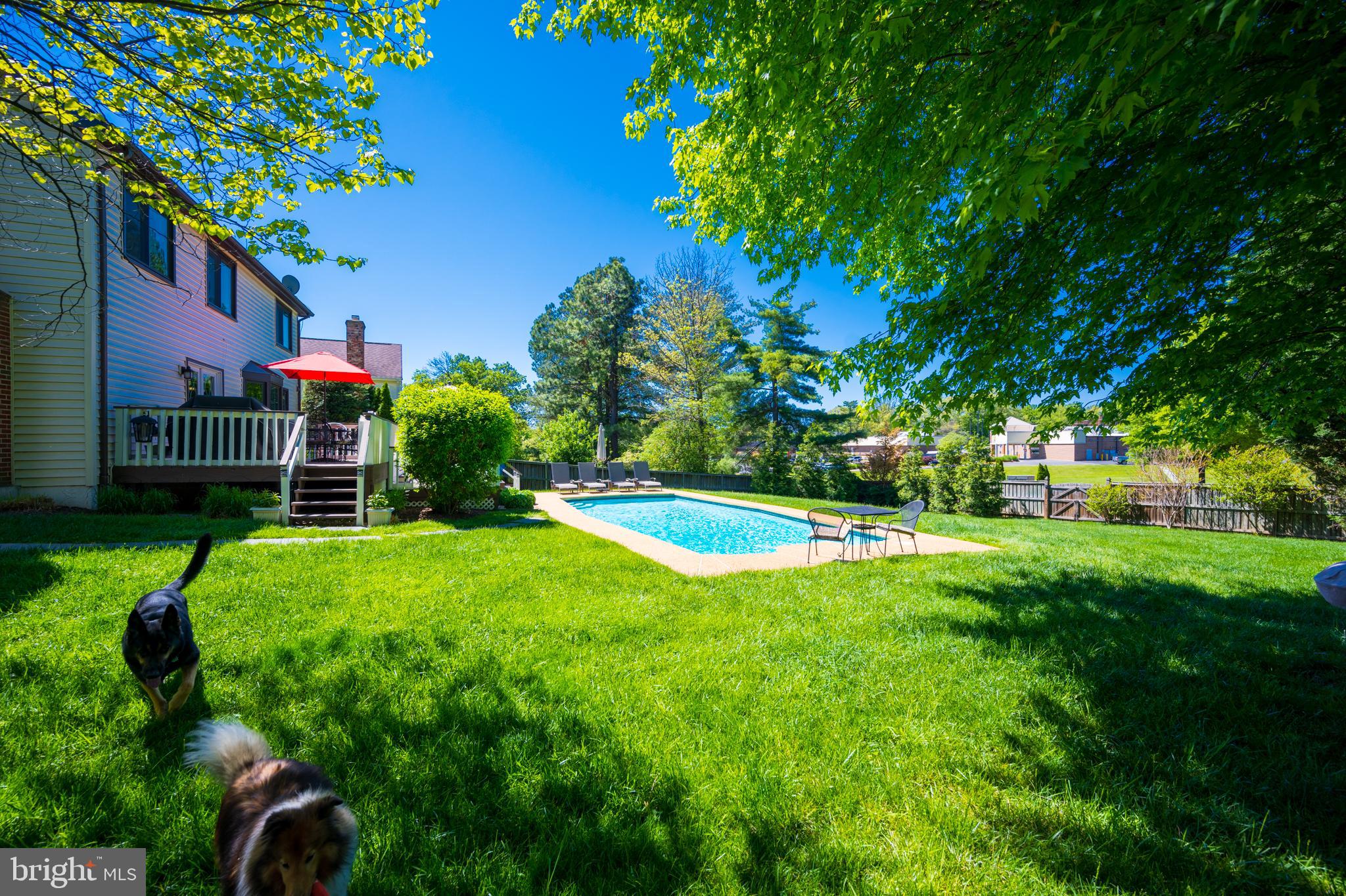 12421 Wendell Holmes Road Oak Hill, VA 20171 - Photo 7 of 56 View from rear fenced yard