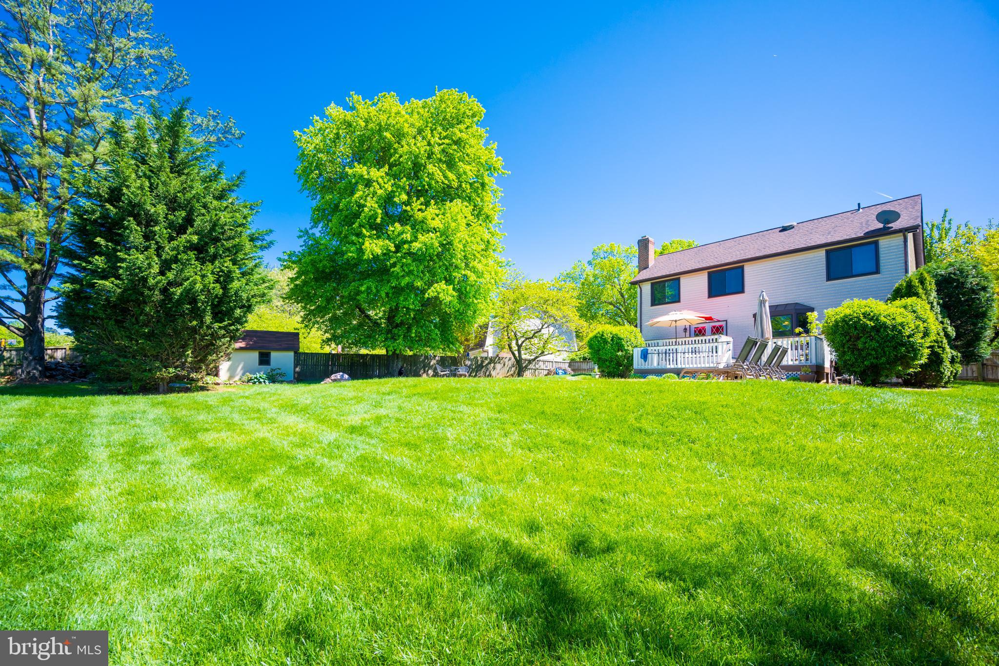 12421 Wendell Holmes Road Oak Hill, VA 20171 - Photo 9 of 56 Nice rear yard for family/pet enjoyment
