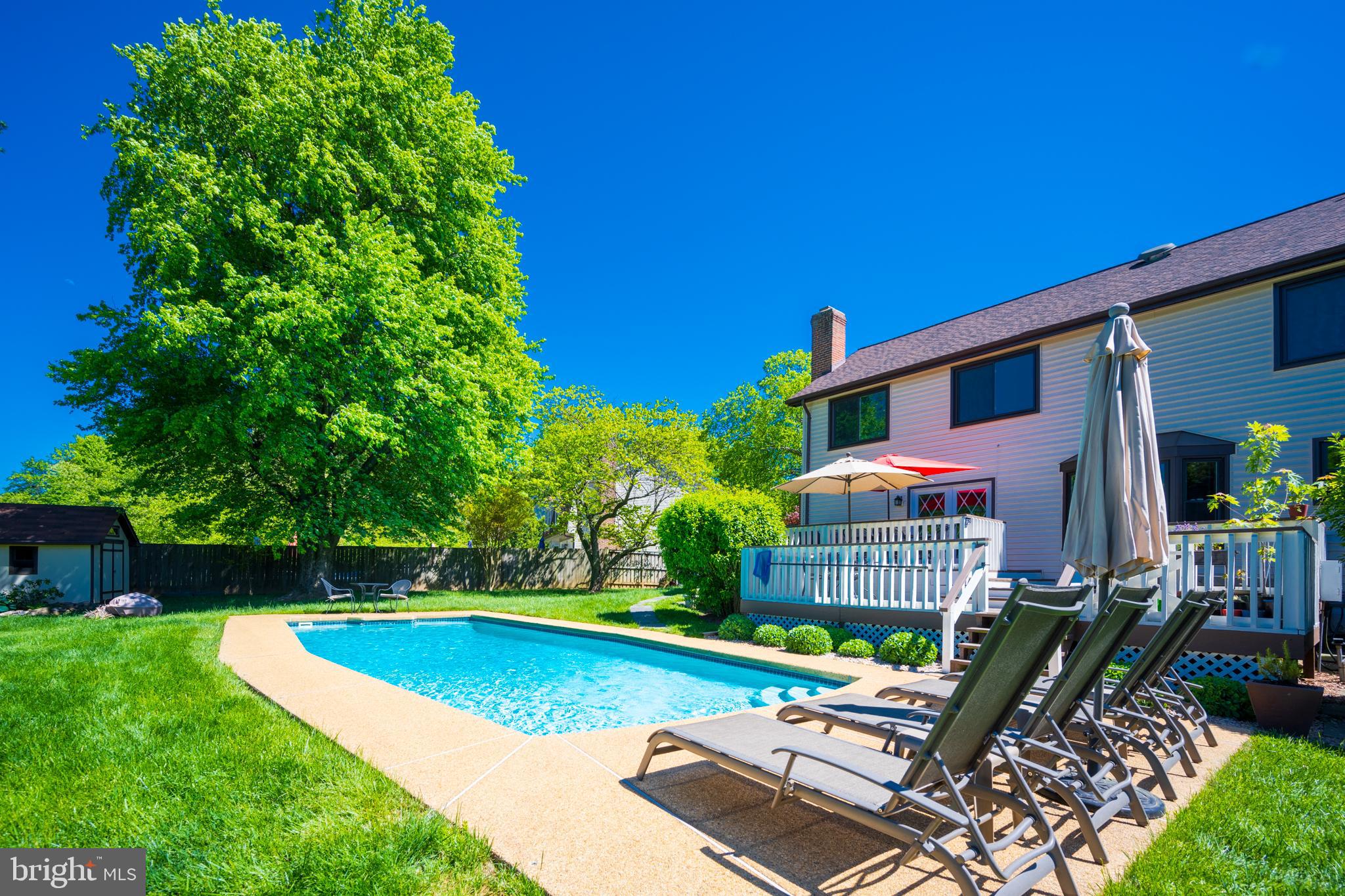 12421 Wendell Holmes Road Oak Hill, VA 20171 - Photo 10 of 56 In-ground pool and lounge area