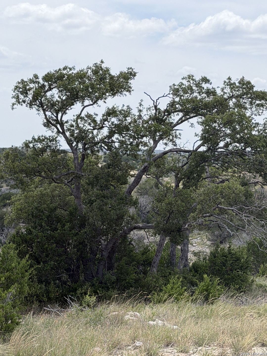 45730 St Rocksprings Tx 78880 Rocksprings, TX 78880 - Photo 41 of 42