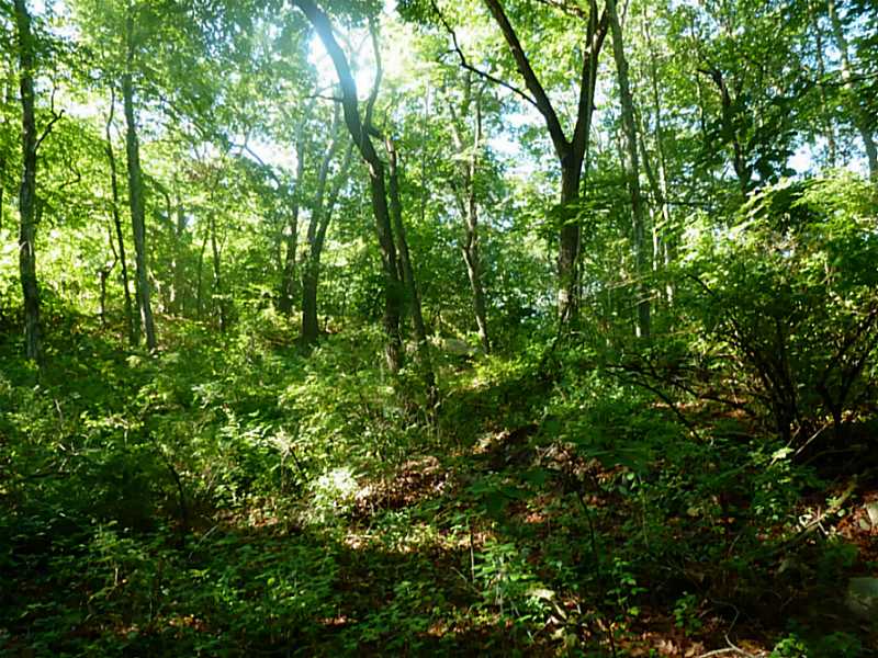 61 Watch Hill Road Westerly, RI 02891 - Photo 8 of 12 Exterior Front. interior land