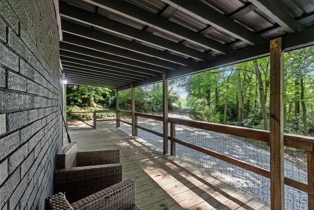 a view of a forest with trees in the background