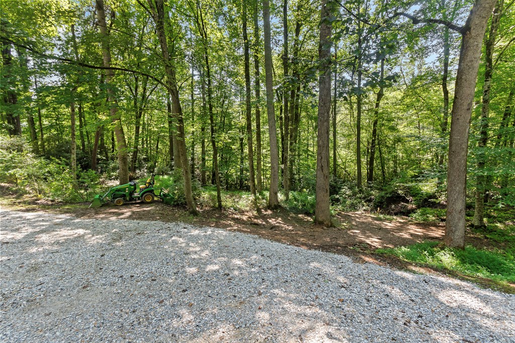 123 Quarry Road Andrews, NC 28901 - Photo 39 of 51 a view of a forest with trees in the background