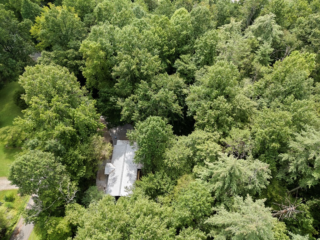 123 Quarry Road Andrews, NC 28901 - Photo 50 of 51 an aerial view of a house with a yard