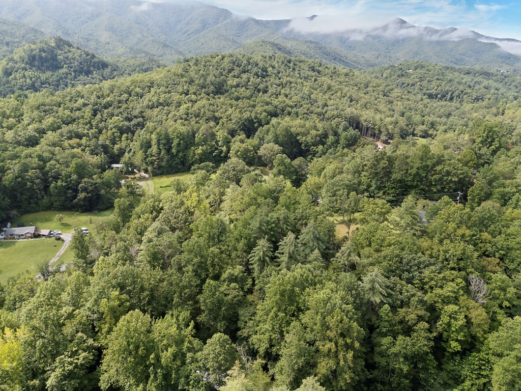 123 Quarry Road Andrews, NC 28901 - Photo 51 of 51 a view of a big yard with lots of green space