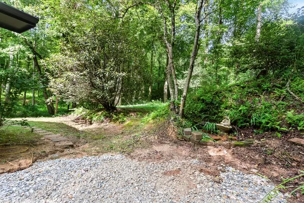 a view of a forest with trees in the background