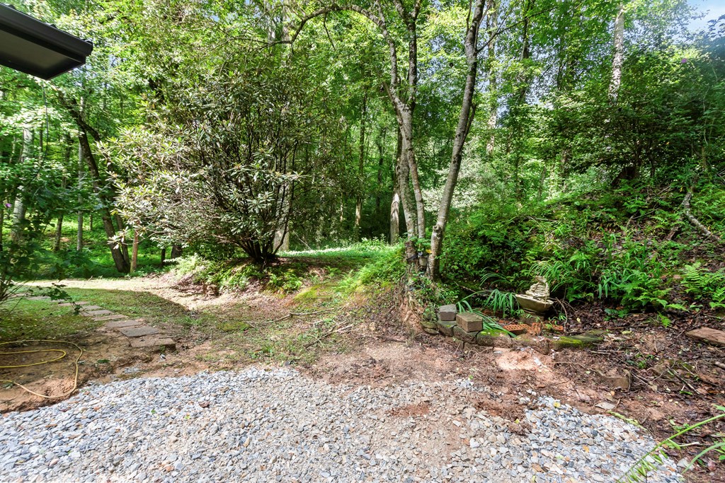 123 Quarry Road Andrews, NC 28901 - Photo 6 of 51 a view of a forest with trees in the background