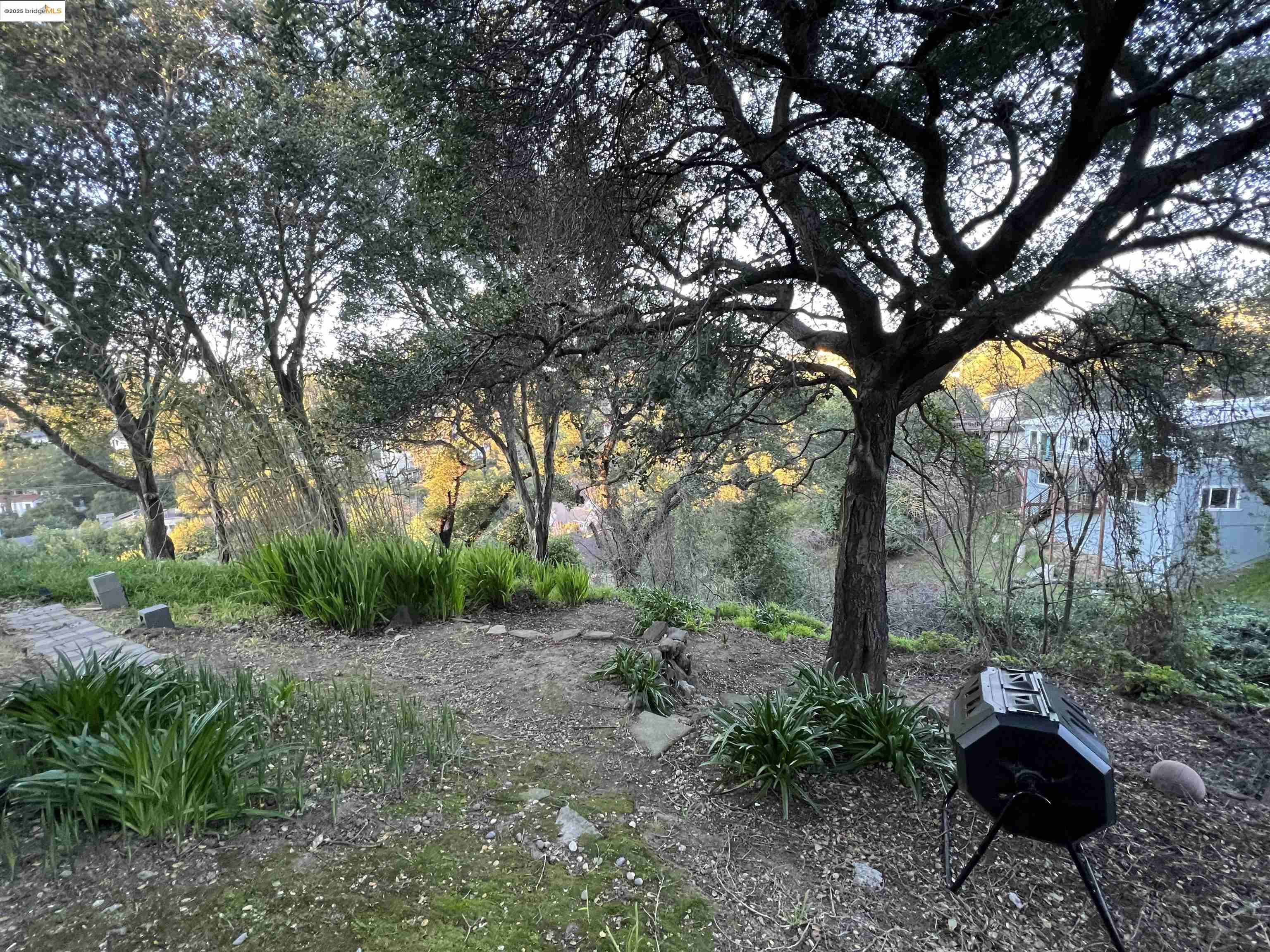 900 Everett Avenue, Unit A Oakland, CA 94602 - Photo 8 of 10 a backyard of a house with lots of green space