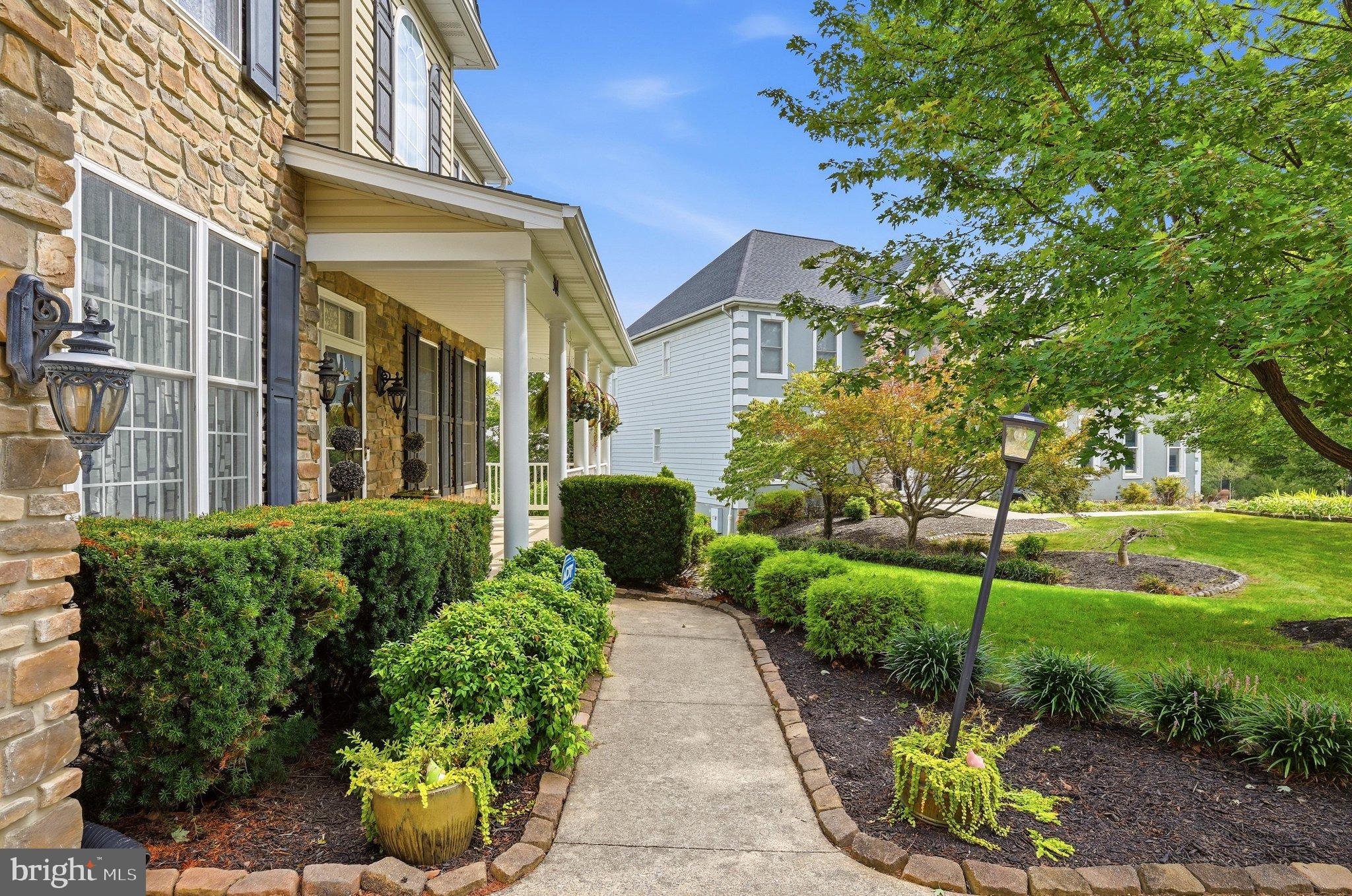 Front Yard