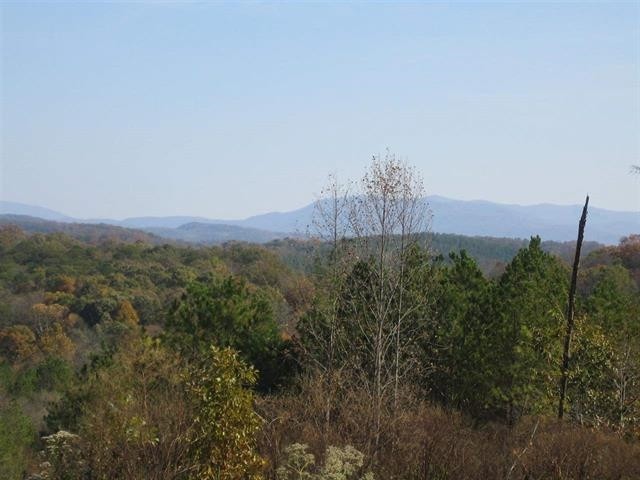 0 Citico Road Vonore, TN 37885 - Photo 6 of 16