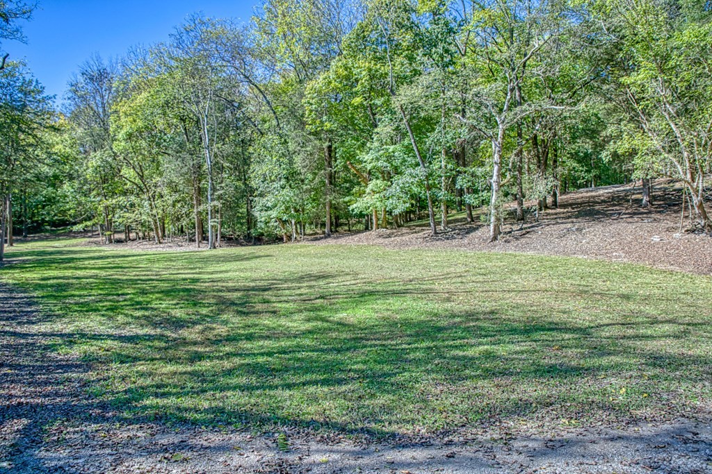 1582 Spring Fork Road Granville, TN 38564 - Photo 40 of 41