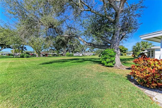 a view of a park with large trees