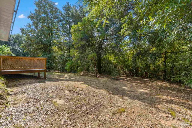 a view of a yard with a tree