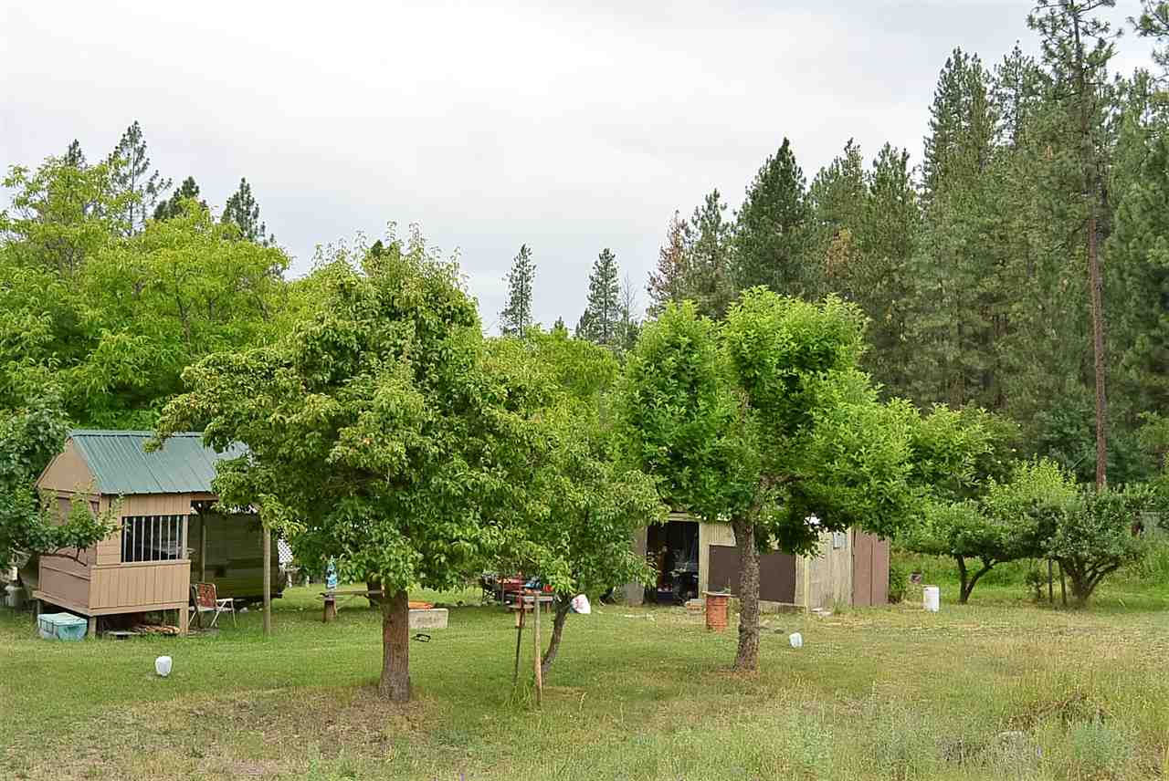 3597 Martin Road Gifford, WA 99131 - Photo 3 of 20