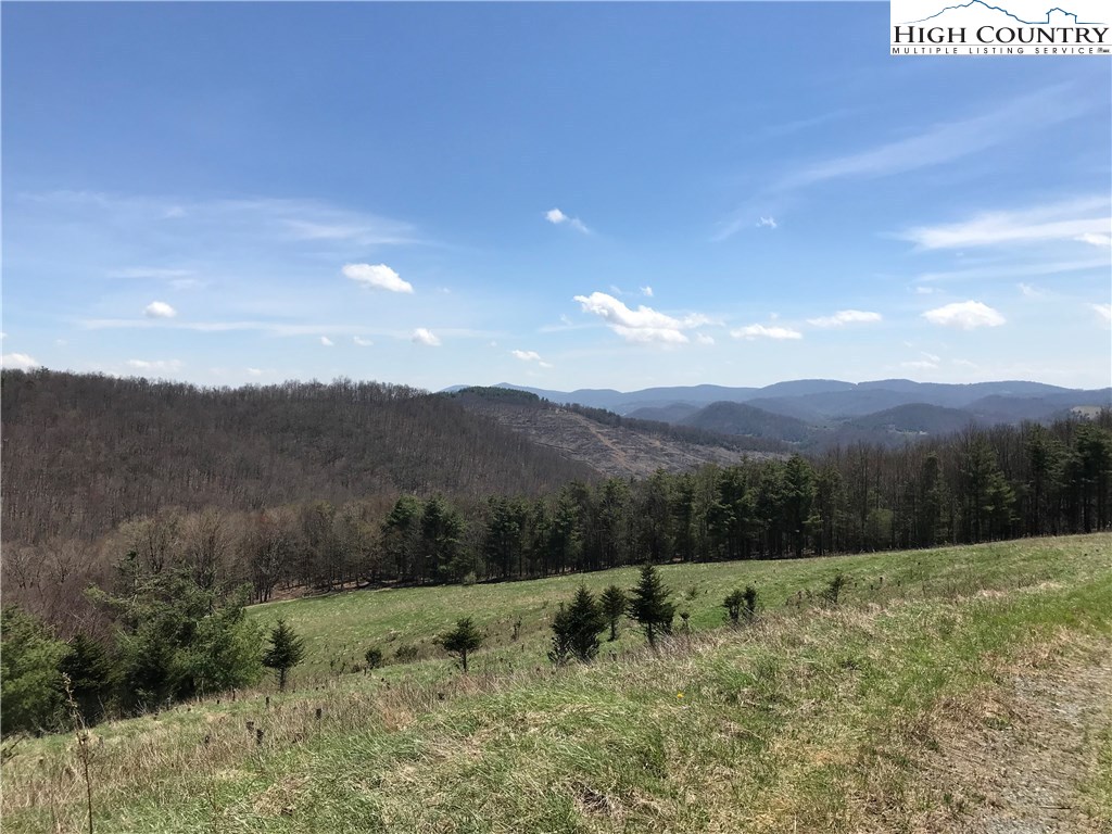 3351 Spicer Mountain Road Sparta, NC 28675 - Photo 11 of 25 Gallery Image 11